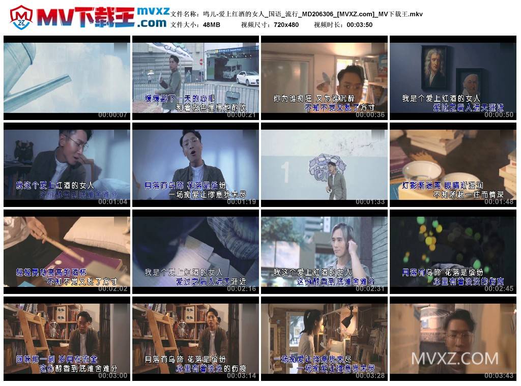 鸣儿-爱上红酒的女人_国语_流行_MD206306